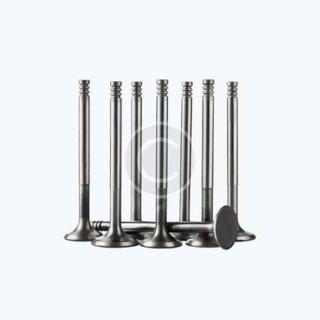 Intake valves