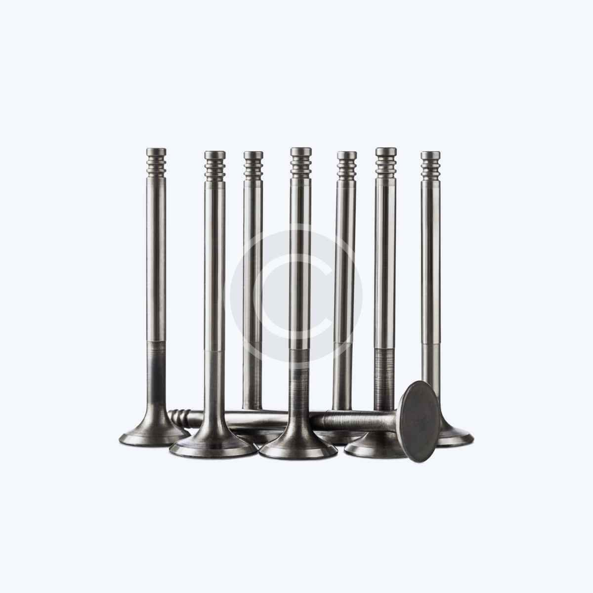 Intake valves